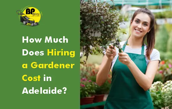 How Much Does Hiring a Gardener Cost in Adelaide?