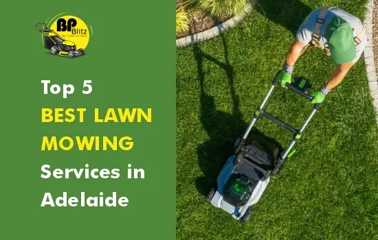 Lawn Mowing Services in Adelaide