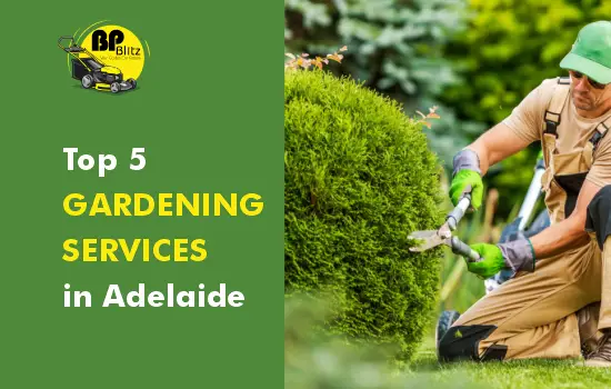 Adelaide’s Top 5 Gardening Services