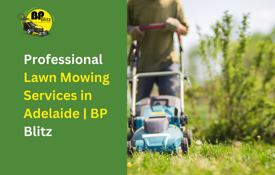 Professional Lawn Mowing Services in Adelaide