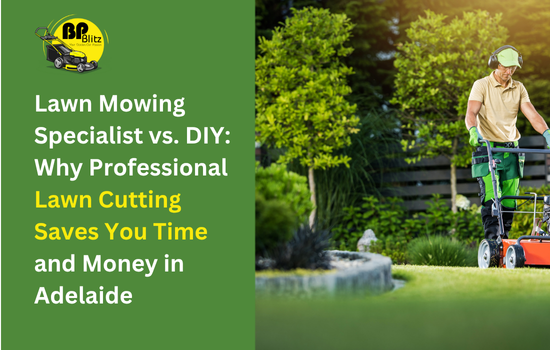 Lawn Mowing Specialist vs. DIY: Why Professional Lawn Cutting Saves You Time and Money in Adelaide