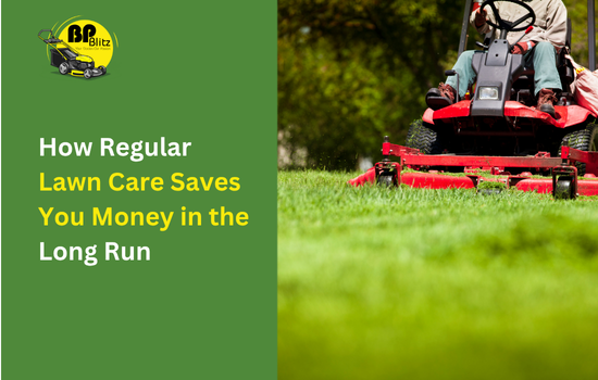 How Regular Lawn Care Saves You Money in the Long Run