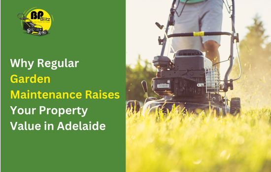 Why Regular Garden Maintenance Raises Your Property Value in Adelaide