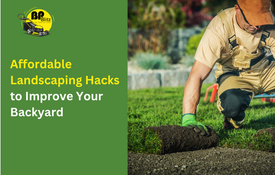 Affordable Landscaping Hacks to Improve Your Backyard
