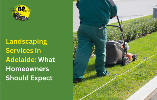 Landscaping Services in Adelaide: What Homeowners Should Expect
