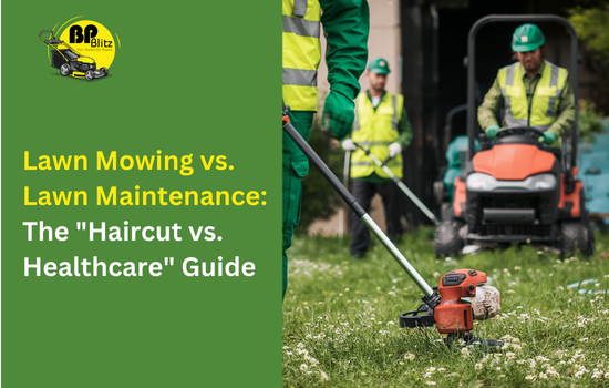 Lawn Mowing vs. Lawn Maintenance: The “Haircut vs. Healthcare” Guide