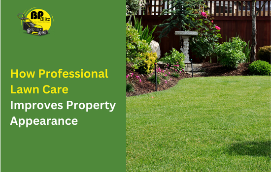 How Professional Lawn Care Improves Property Appearance