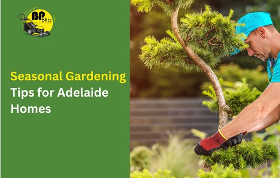 Seasonal Gardening Tips for Adelaide Homes