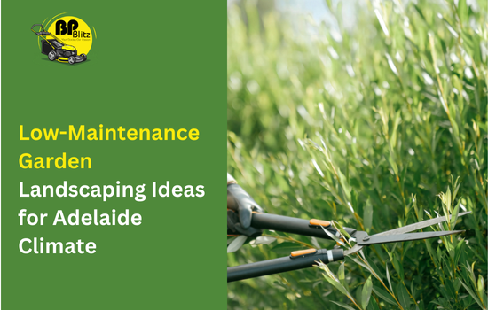 Low-Maintenance Garden Landscaping Ideas for Adelaide Climate